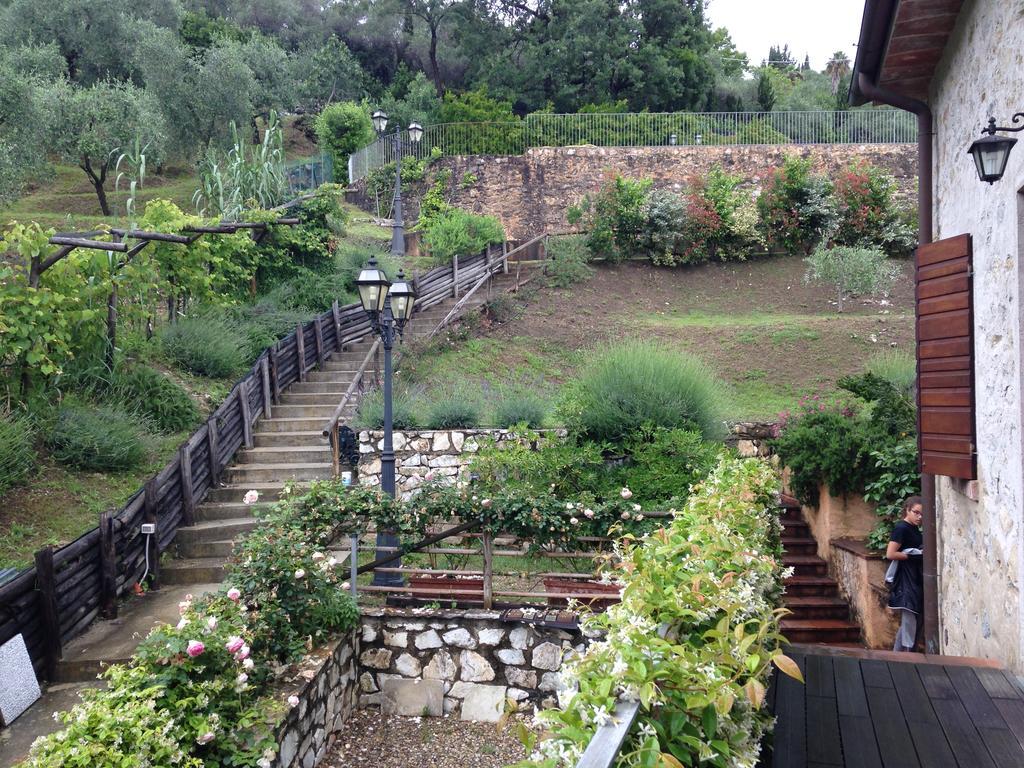 Lady Frantoio Toscano Corsanico-Bargecchia Bagian luar foto