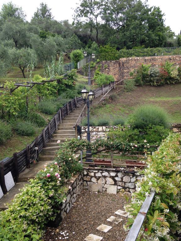 Lady Frantoio Toscano Corsanico-Bargecchia Bagian luar foto