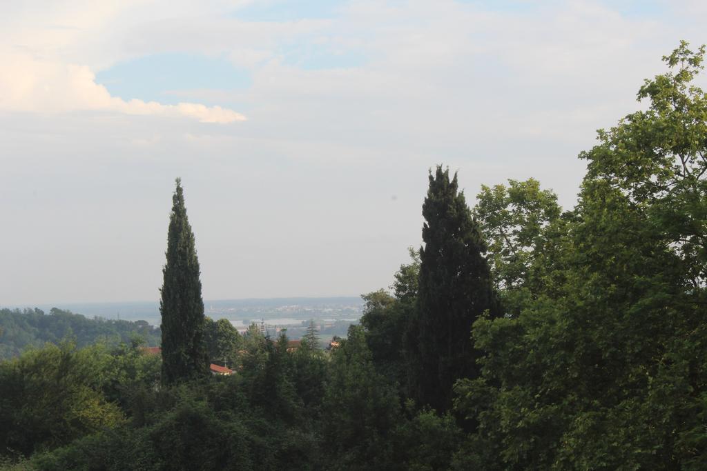 Lady Frantoio Toscano Corsanico-Bargecchia Bagian luar foto